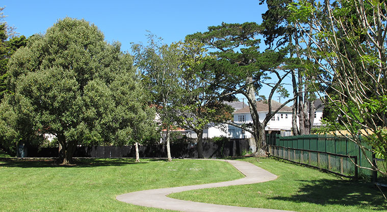 Turner Reserve Path - Path winds around between trees