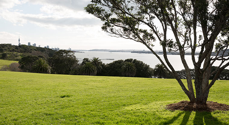 Tamaki Drive Coastal Path - Great Waitemata Harbour views, Sky Tower, and Ōrākei Marae.