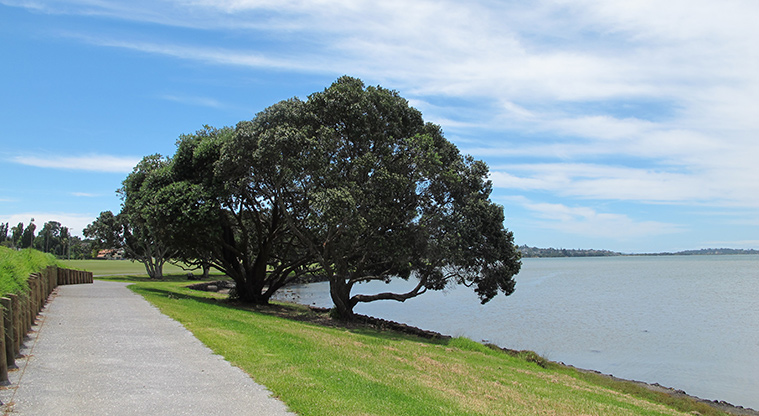 Tāmaki Path - Wide sealed path running alongside the Tāmaki River.