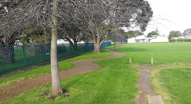 Tāmaki School Path - A mix of easy riding and skills development.