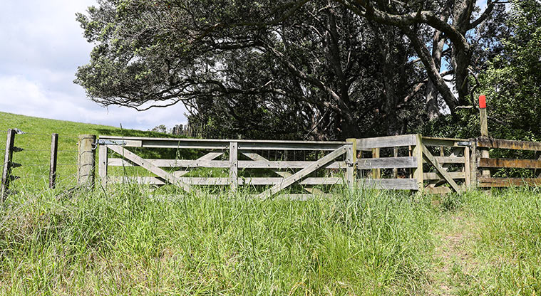 Tāpapakanga Coastal Path - Head through the gate.