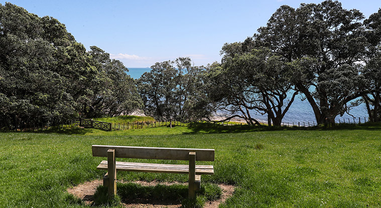 Tāpapakanga Coastal Path - Places to stop and admire the view.