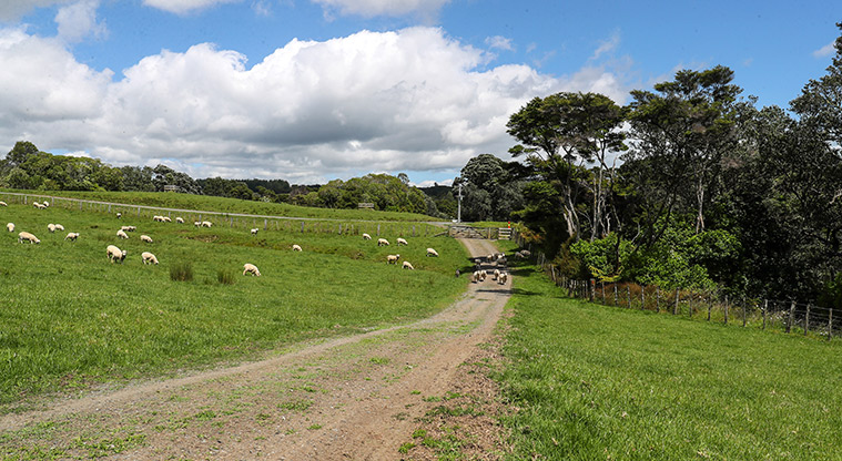 Tāpapakanga Coastal Path - Follow the metal road.