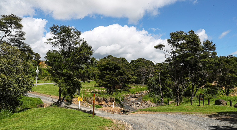 Tāpapakanga Coastal Path - Path connecting back down to Tāpapakanga stream.