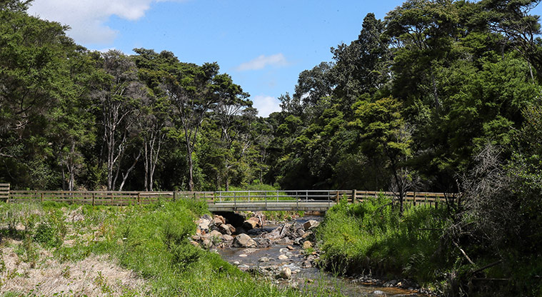 Tāpapakanga Coastal Path - Idyllic stream and bush.