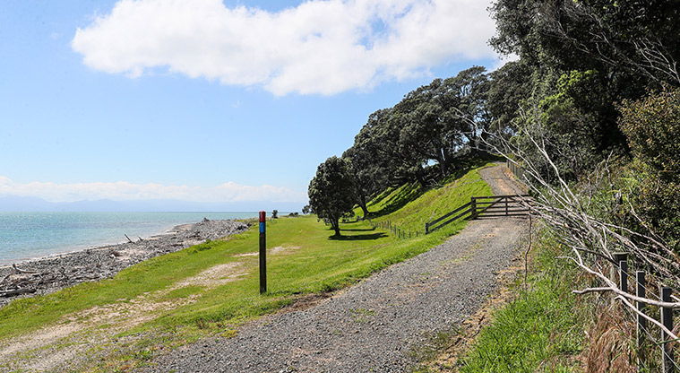Tāpapakanga Historic Path - Follow the path and blue marker poles.