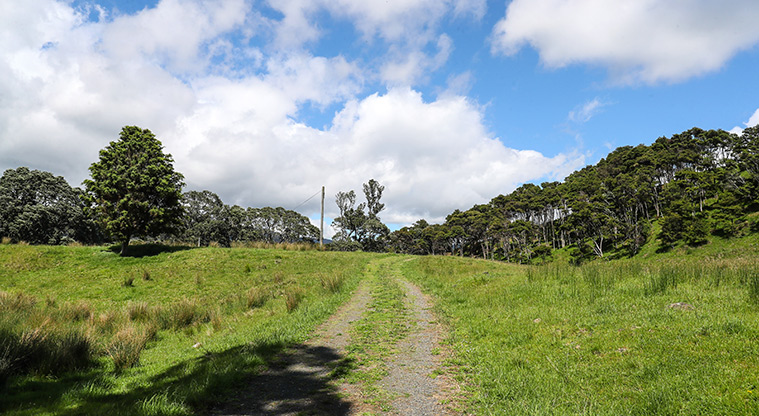 Tāpapakanga Historic Path - Path follows farm tracks.
