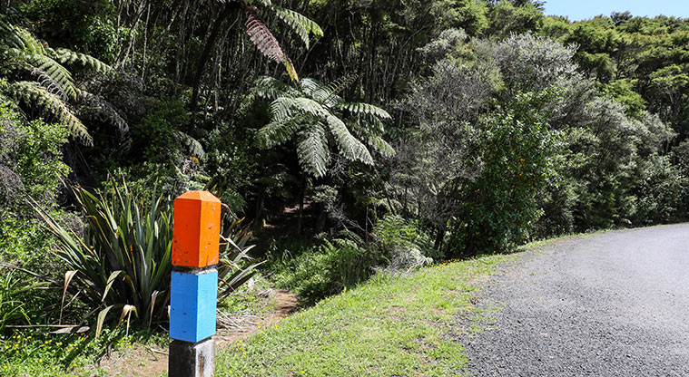 Tāpapakanga Historic Path - Follow blue markers.
