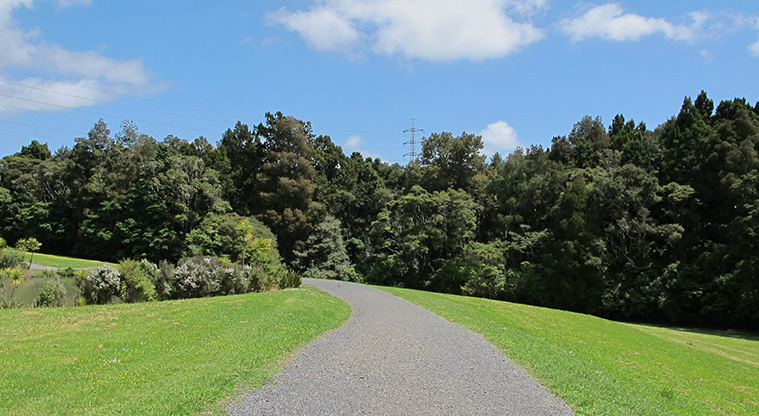 Tōtara Bridle Path - Path with Tōtara Park backdrop.