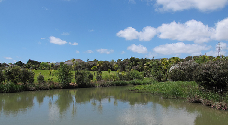 Tōtara Bridle Path - Wetland pond.