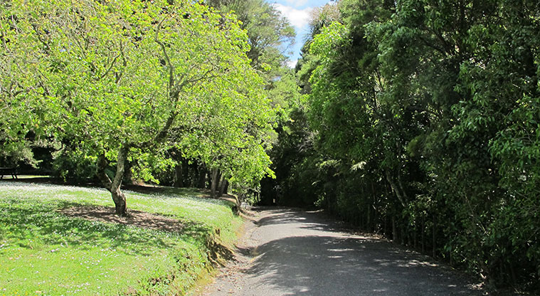Tōtara Bridle Path - Path continues to adventure playground.