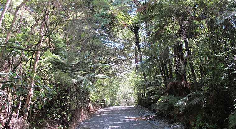 Tōtara Bridle Path - Steep section with loose gravel: suggest dismount if on bike.