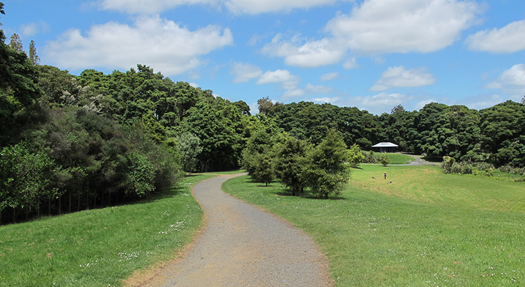 Totara Puhinui Creek Path - Path is relatively flat and well compacted.