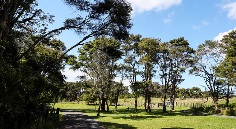 Waharau Bush Path - Last part of path is on the metal road.