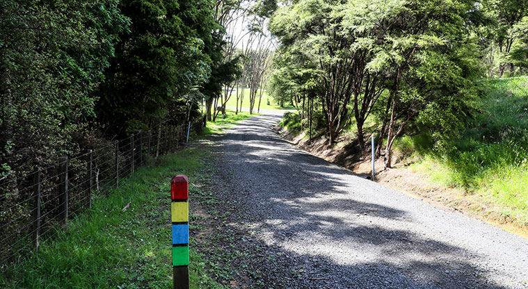 Waharau Bush Path - Path connects with other tracks in the park – keep following the green markers.