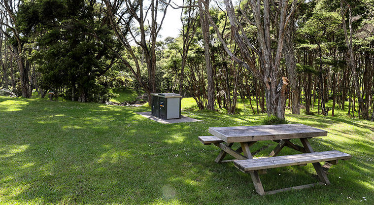 Waharau Bush Path - Great picnic spots and bookable barbecues.
