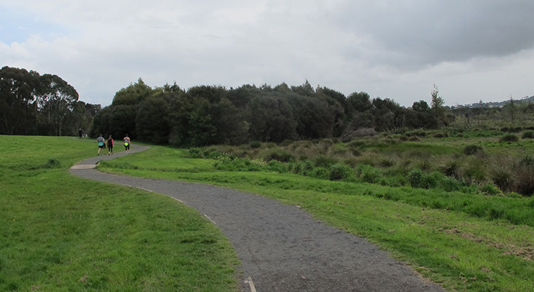 Waiatarua Path - A portion of the Waiatarua Path going past a wetland area.