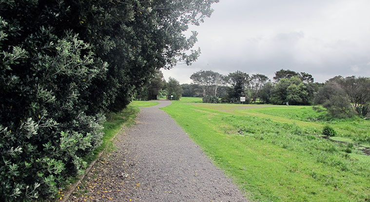 Waiatarua Path - A section of the Waiatarua Path.
