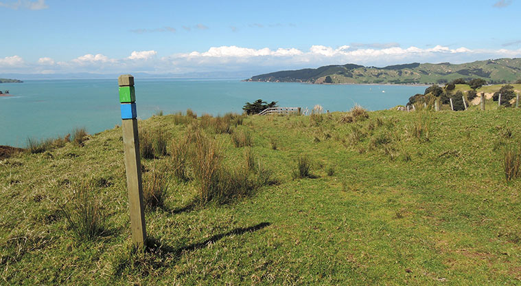 Waitawa Kererū Path - Keep to the green markers