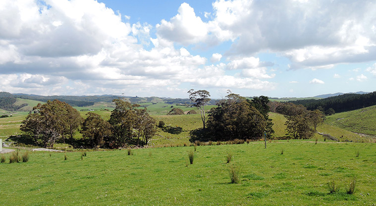 Waitawa Kererū Path - Path through working farm