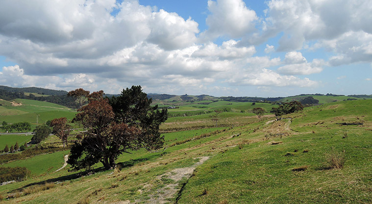Waitawa Kererū Path - Path through working farm