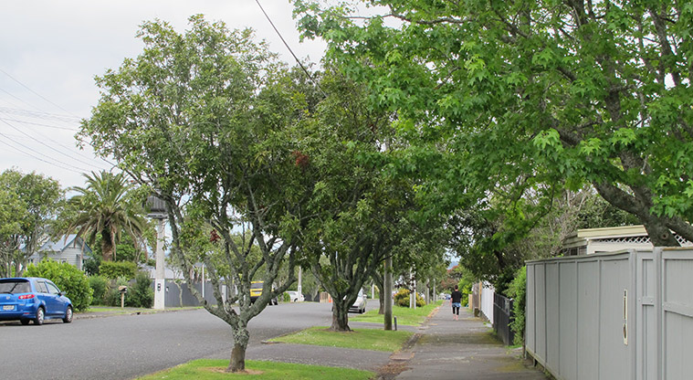 Waterview Heritage Path - Footpath down Oakley Avenue