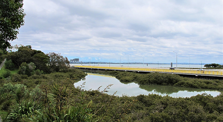 Waterview Heritage Path - View over Oakley Creek