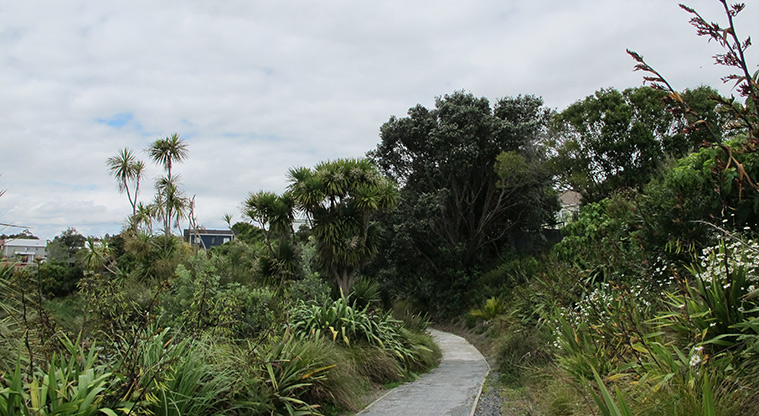Waterview Heritage Path - Follow path through riparian planting