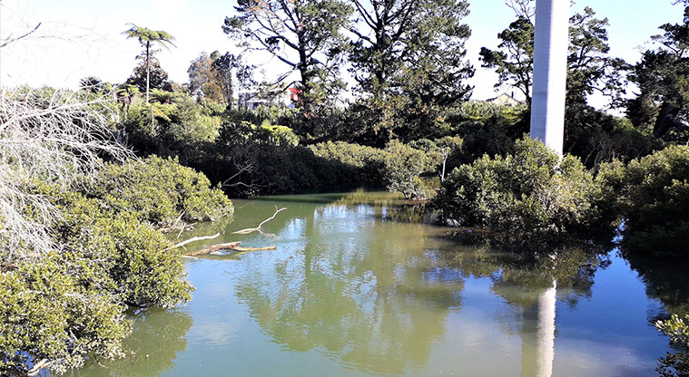 Waterview Heritage Path - Oakley Creek viewed from new bridge
