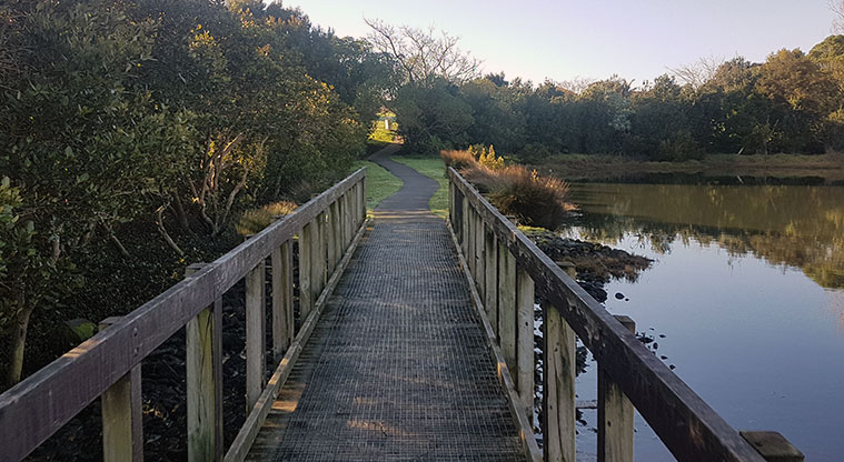 Wattle Downs North Path - Short boardwalk section.