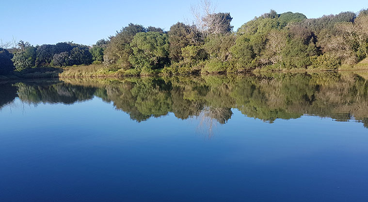Wattle Downs North Path