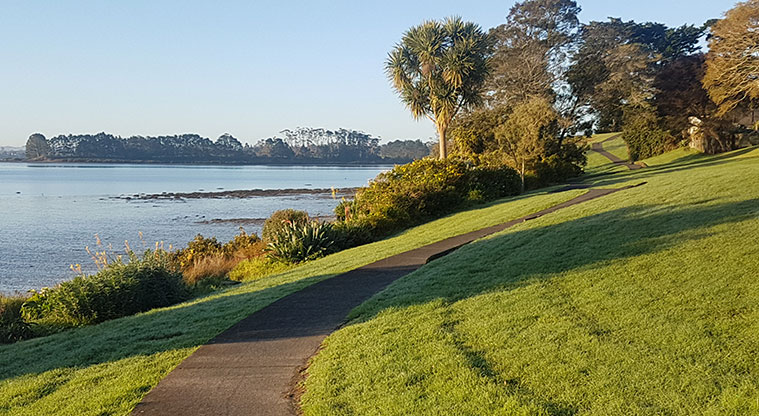 Wattle Downs South Path - Well paved paths to enjoy your walk, run or bike.