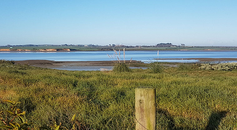 Wattle Downs South Path - Views of the Manukau Harbour.