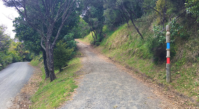 Wenderholm Perimeter Track - Follow the red track markers.
