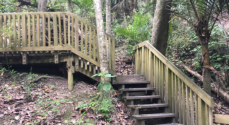 Wenderholm Perimeter Track - Be prepared for stairs and some steep climbs.