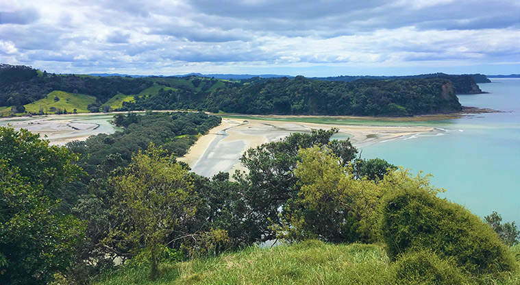 Wenderholm Perimeter Track - View from Maungatauhoro Lookout.