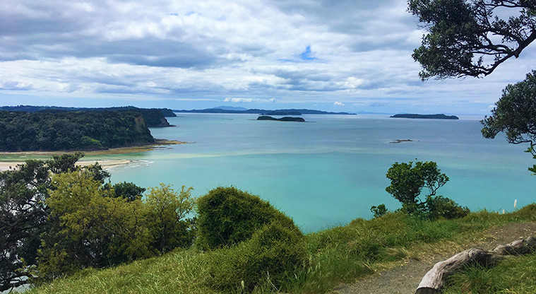 Wenderholm Perimeter Track - Enjoy the view from the log seating.