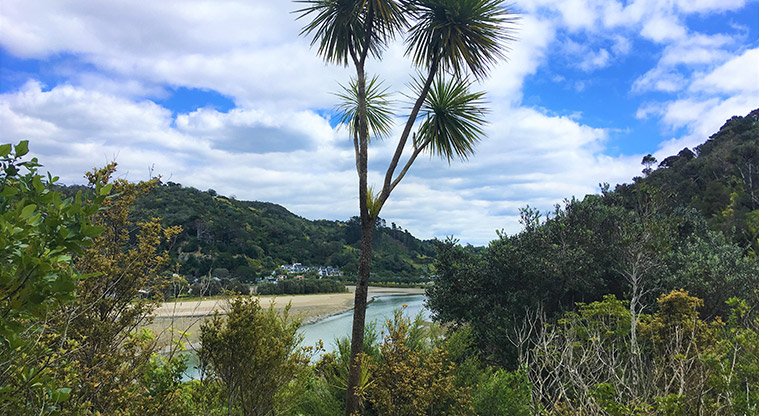 Wenderholm Perimeter Track - Views over Waiwera Estuary.