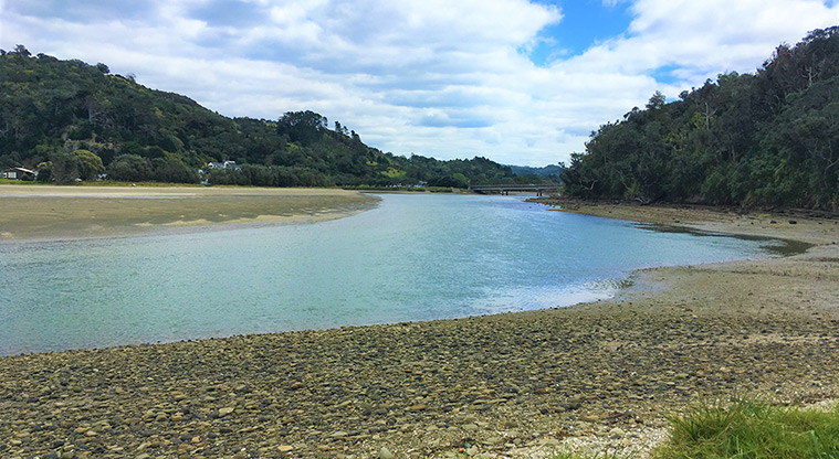Wenderholm Perimeter Track - Waiwera Estuary.