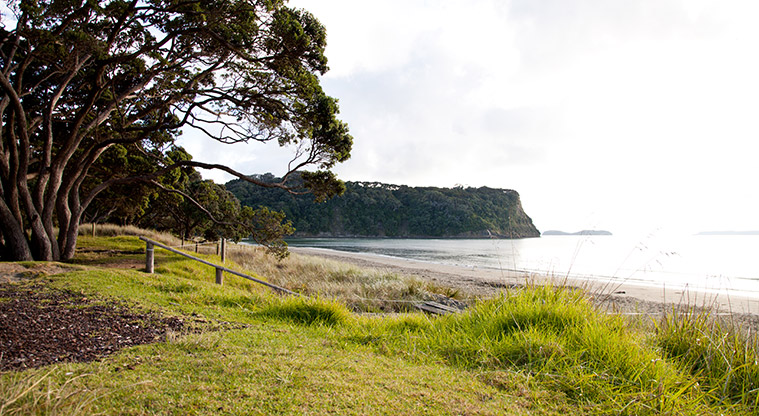 Wenderholm Te Akeake Path - Head to the sandy beach