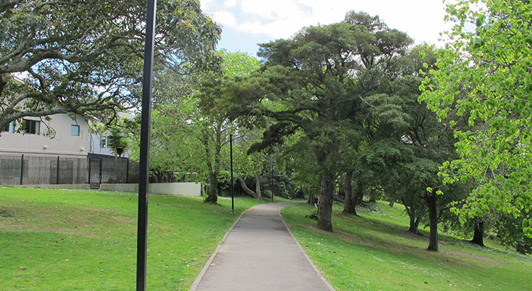 Western Park Path - Path is wide, sealed and lit.