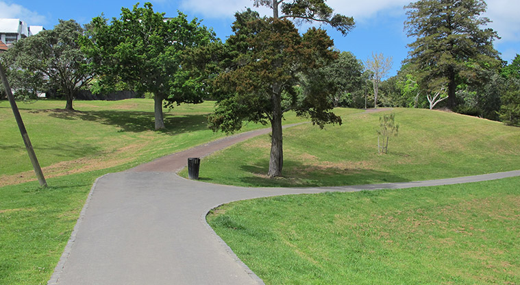 Western Park Path - Loop path can go on upper (steeper) or lower path.