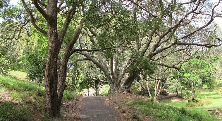Western Park Path - Plenty of shaded spots if the weather is hot.