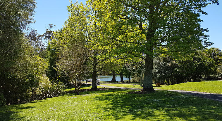Western Springs Loop Path - One of the numerous shaded spots.