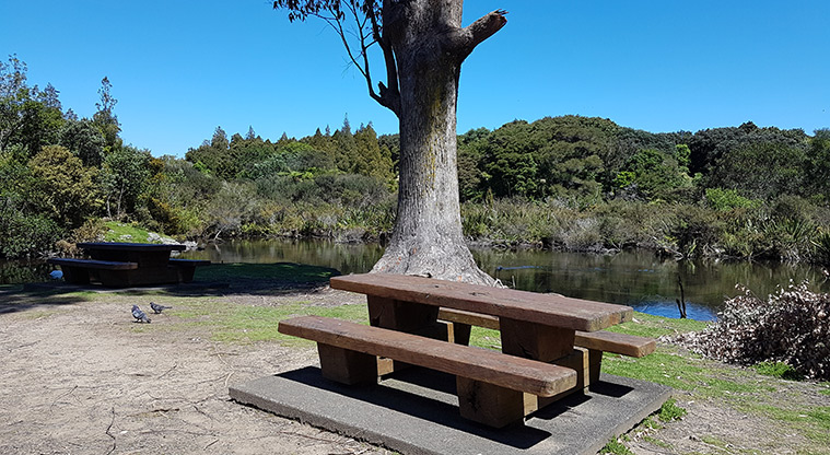 Western Springs Loop Path - Picnic spots all along the path.