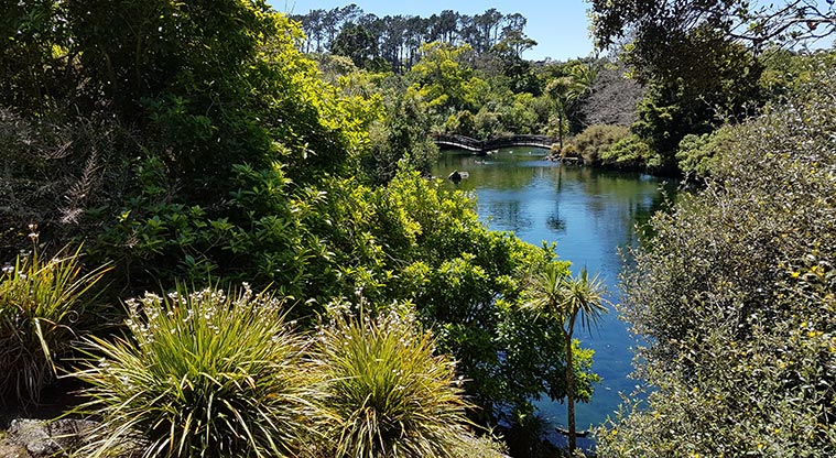 Western Springs Loop Path - Views through trees to the lake.