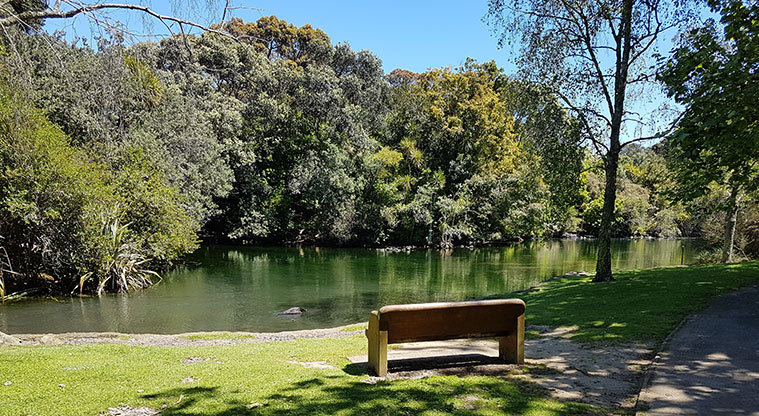 Western Springs Loop Path - Numerous places to sit in the shade and admire the view.