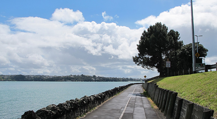 Westhaven Path - Path alongside Curran Street.