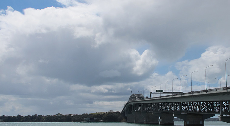 Westhaven Path - Views to Harbour Bridge.