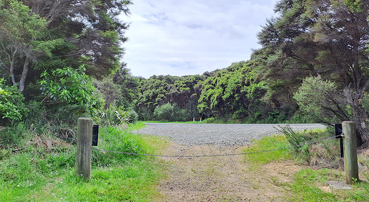 Whakanewha Forest Path - Cross Gordons Road. Ensure you look for traffic!